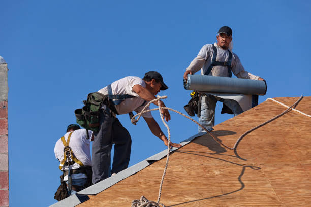 Best New Roof Installation  in Louisiana, MO