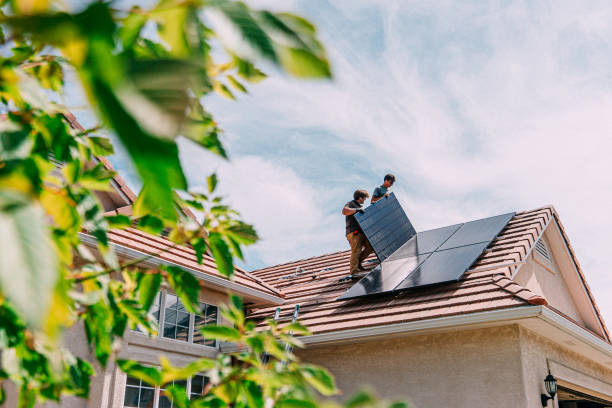 Best Roof Gutter Cleaning  in Louisiana, MO