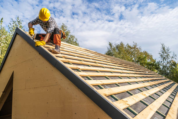 Roof Gutter Cleaning in Louisiana, MO