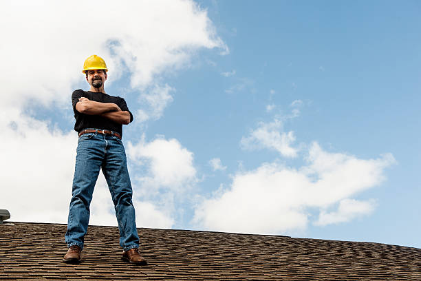 Best Roof Gutter Cleaning  in Louisiana, MO